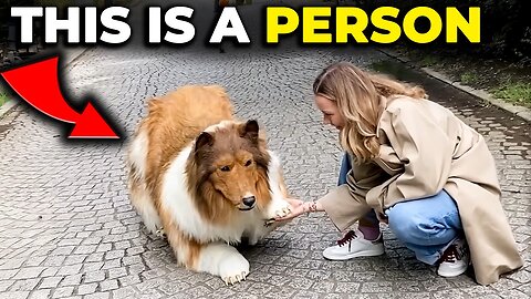 This Is Not A Dog
