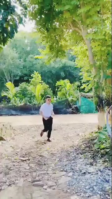 Chinese new year celebration