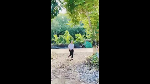 Chinese new year celebration