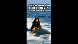 My Uber Driver Was a Shark—Literally. 10/10 Would Ride Again