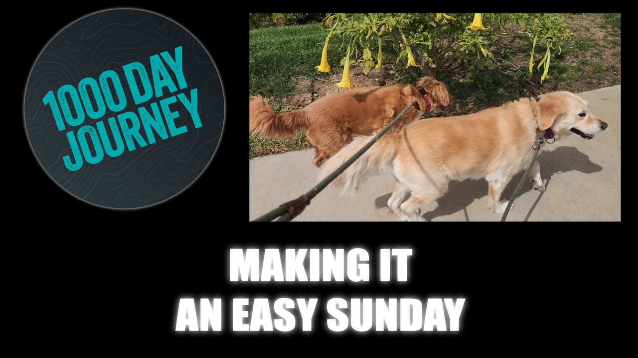 1000 Day Journey 0607 Making it an easy Sunday
