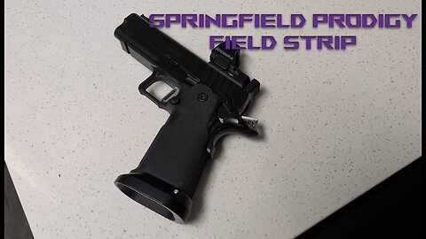 Springfield Prodigy Field Strip