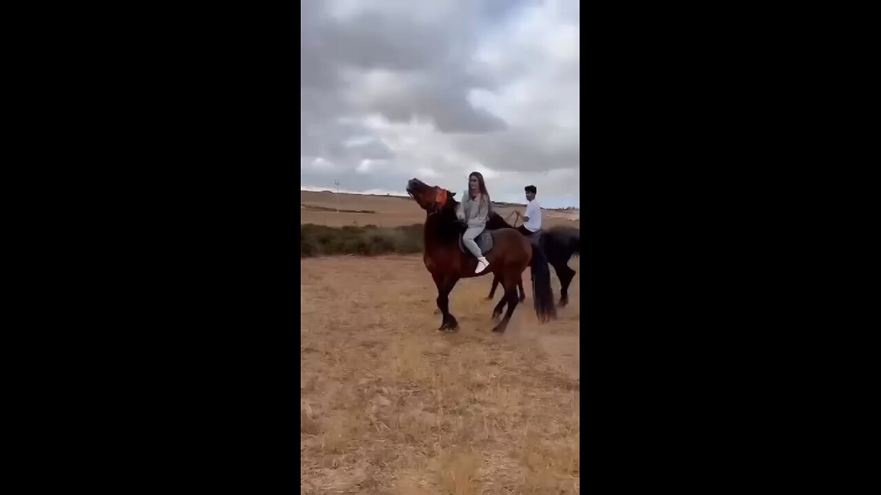 cheval