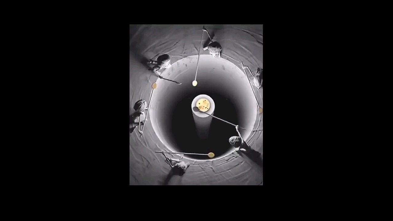 viral