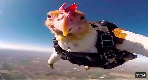 Funniest Animal Videos Ever--------