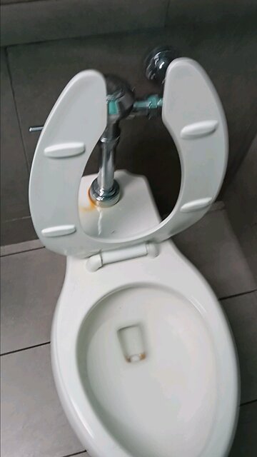 Bemis Toilet At Pop Eyes | TBrown0065