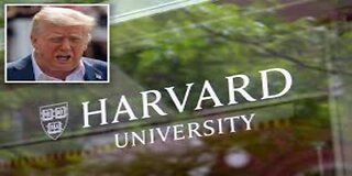 Harvard Plans to Create a Conservative Scholarship Center Amid Trump Feud Report