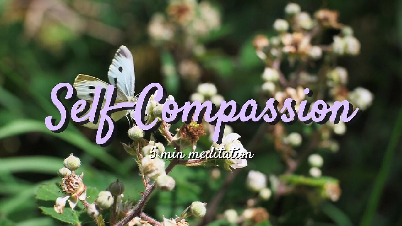 Find INNER PEACE with this Self Compassion Guided Meditation
