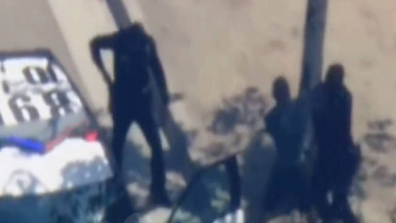 It's Not a Good Idea to Punch a Cop