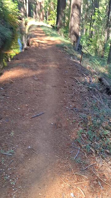 Nevada City Trail Hike