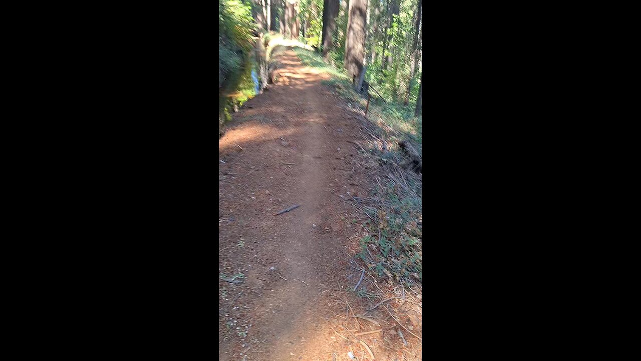 Nevada City Trail Hike