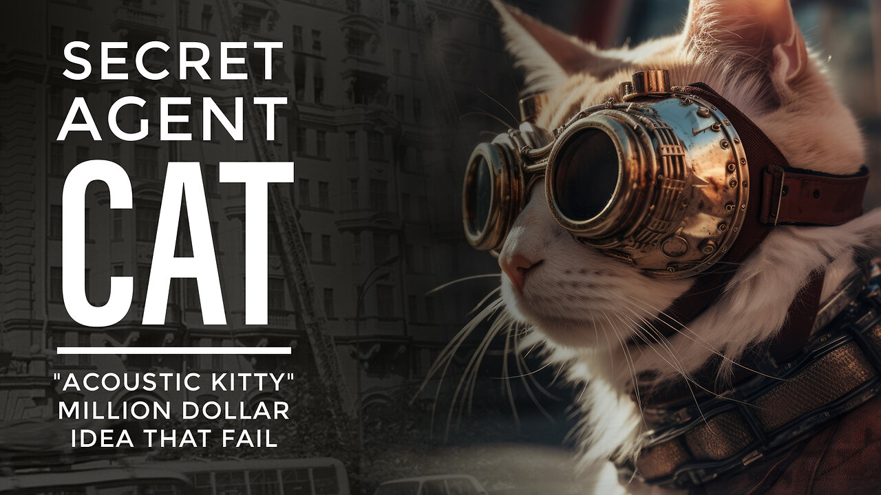 Cat Sent to Spy on Russians… CIA’s $20 Million Failure