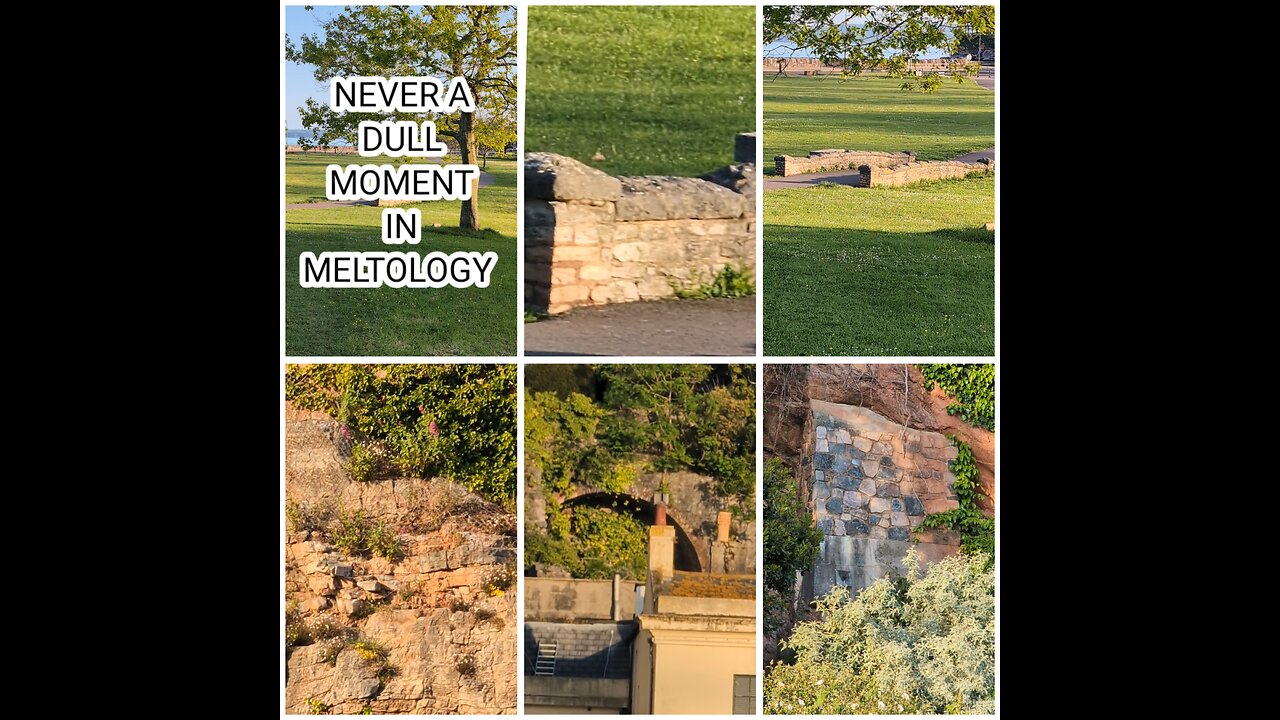 Never a dull moment in Meltology - Torquay
