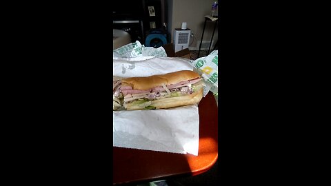 Meal, Subway, Ford Rd, Garden City, MI, 6/8/25
