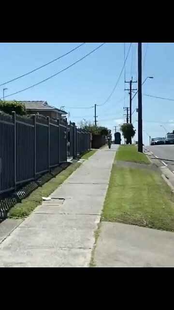 A normal day in Australia