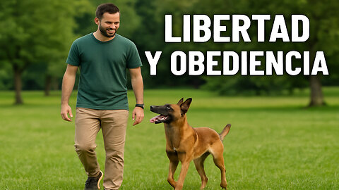 ¿Tu perro necesita libertad? Descubre por qué soltarlo sin control puede ser un error