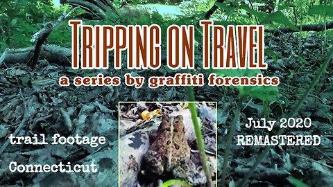 Tripping on Travel: July 2020 REMASTER, back trail, CT