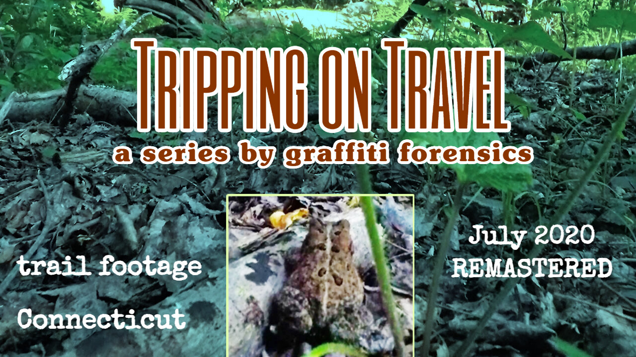 Tripping on Travel: July 2020 REMASTER, back trail, CT