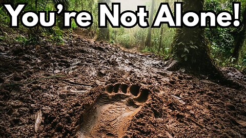 Inside the Legend of Ucumar: Argentina's Bigfoot