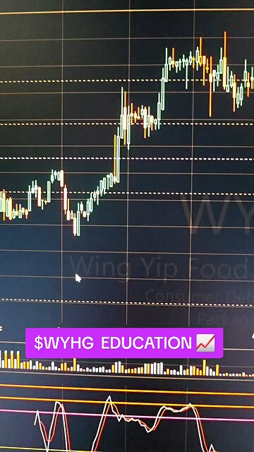$WYHG📈