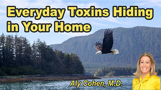 The everyday toxins hiding in your home