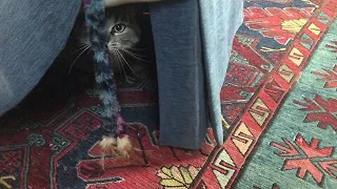 April 21, 2020 - Belle Hides from Her Pesky $1 Toy