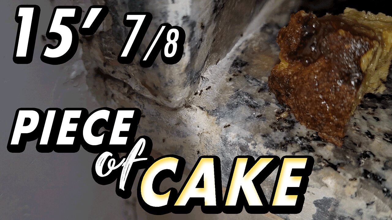 ASMR | You forgot some food on the way? Chill. The soldiers have it covered - 15' 7/8