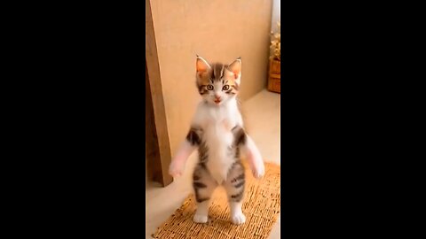 "Funny Cat Dancing to Bike Sounds! Hilarious Moves!"