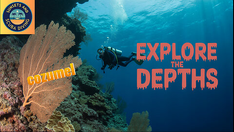 You've Never Seen a Drift Dive Like This Before | Caribbean Reefs