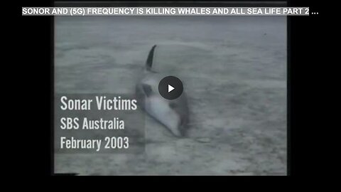 "Sonar and 5G Frequencies: Their Deadly Impact on Whales and Marine Life, Part 2"
