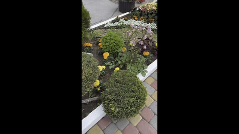 Spring garden bed