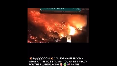 California Freedom