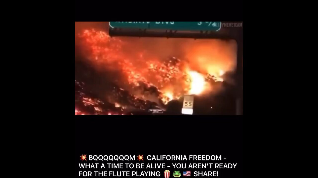 California Freedom