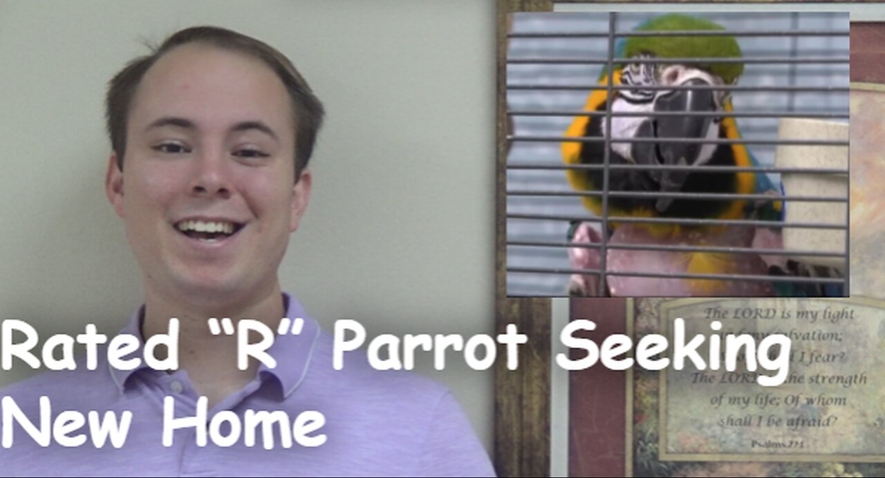 Rated “R” Parrot Seeking New Home