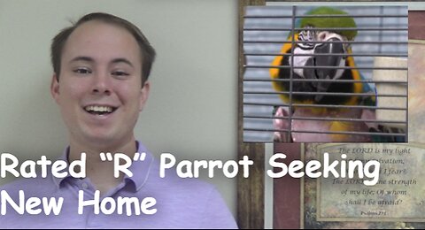Rated “R” Parrot Seeking New Home