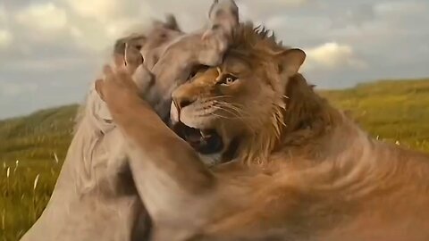 if you're a LOVER, you gotta be a FIGHTER