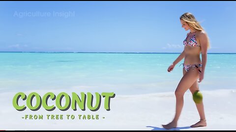 How Billion Tons of Coconuts Are Processed – Amazing Coconut Farming for Water, Oil & Coir