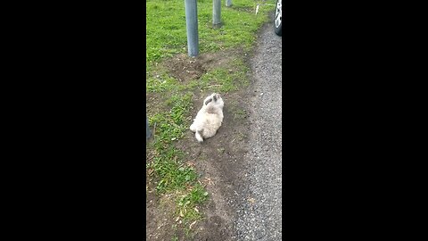 Typical Queens sheeeeeeit.... 🤔