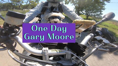 One day #garymoore #shorts #bikerdog #musicvideo