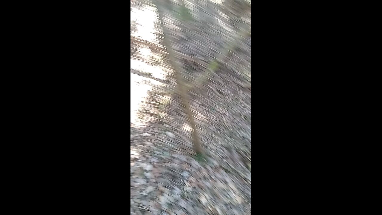 2024 shed season Catskill mountains