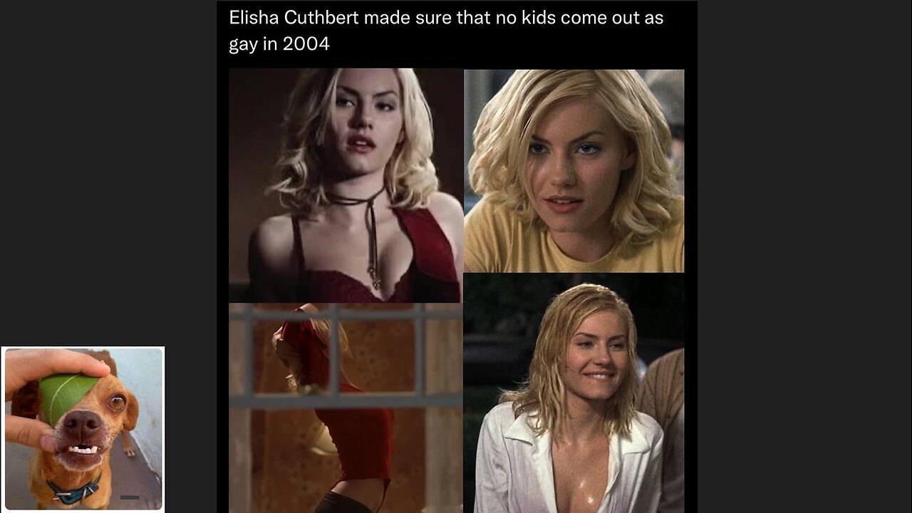 Memes That Will 99.0456% Make You Laugh. (e680)