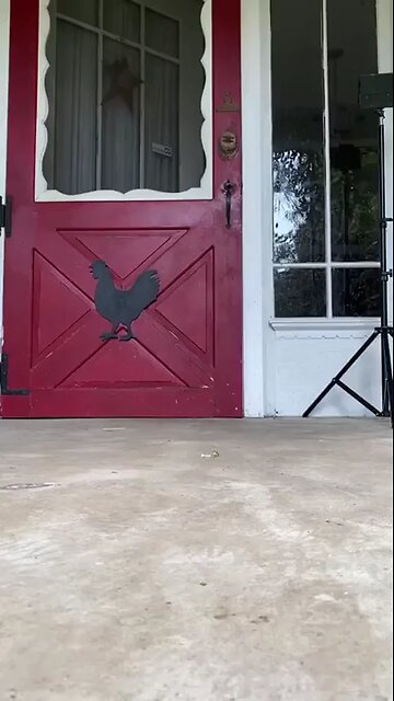 😍😍😘🔥 😍💦 FUNNY Animals and pet's💕😘 😘🔥 💕😘 😍💦 💦