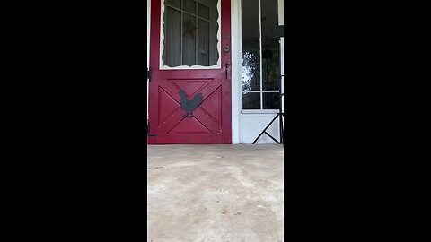 😍😍😘🔥 😍💦 FUNNY Animals and pet's💕😘 😘🔥 💕😘 😍💦 💦