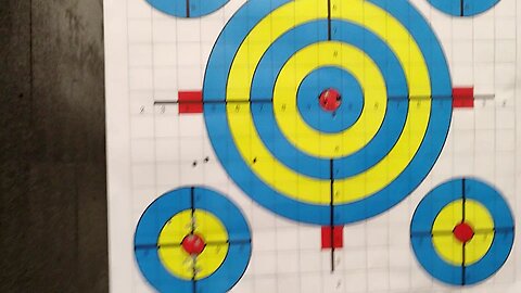 Ruger 10/22 Re-Sight In