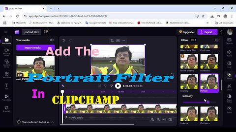 Add The Portrait filter In Clipchamp