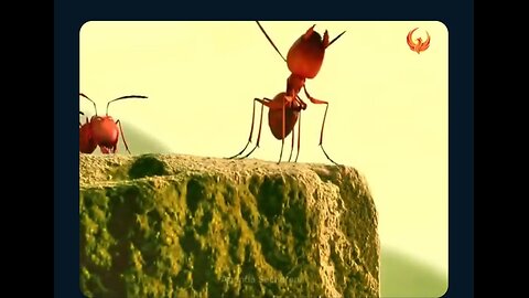 ant and ant