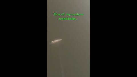 custom crank bait gets smacked