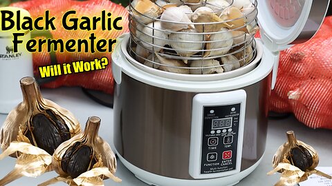 Black Garlic Fermenter / Will it Work? / 9 Day Challenge / 6L Garlic Fermenter
