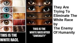 They Are Trying To Eliminate The White Race by The Enemy Of Humanity