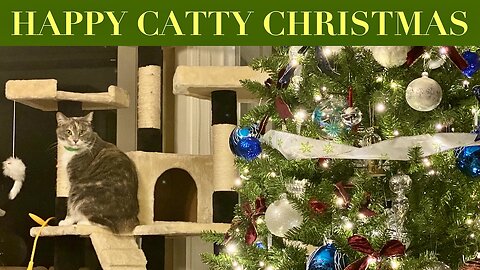 Happy Catty Christmas